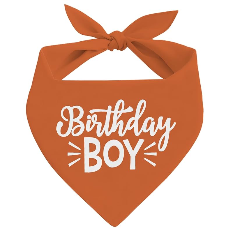 Bandana para Cães BKDJPC Birthday Boy, Lenço Triangular de Flanela Orange, Tamanho Large, 1 unidade