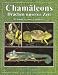 Produktbild Chamäleons: Drachen unserer Zeit (Terrarien-Bibliothek)
