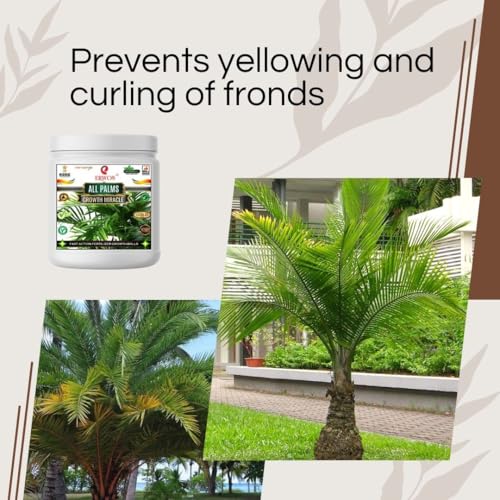 Image of Erwon All Palms GROWTH MIRACLE Fertilizer, Fast Action Organic Granules for rapid Overall Healthy Growth of all palms Plants. (900 gm)