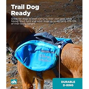 Outward-Hound-DayPak-Blue-Dog-Saddleback-Backpack-Medium - Cucciolini Doodles   Outward-Hound-DayPak-Blue-Dog-Saddleback-Backpack-Medium