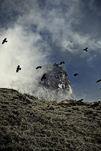 Home Comforts Dolen Birds Mountain Dolen Mountains Klausen Pass-20 Inch By 30 Inch Laminated Poster With Bright Colors And Vivid Imagery-Fits Perfectly In Many Attractive Frames