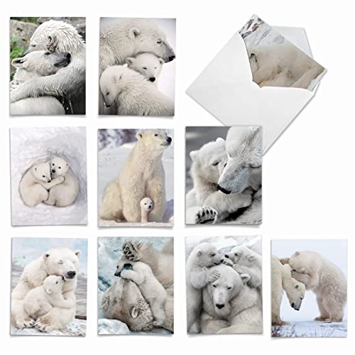 Cartes ours polaires Bear Hugs am6327ocb-b1 de correspondance toutes occasions
