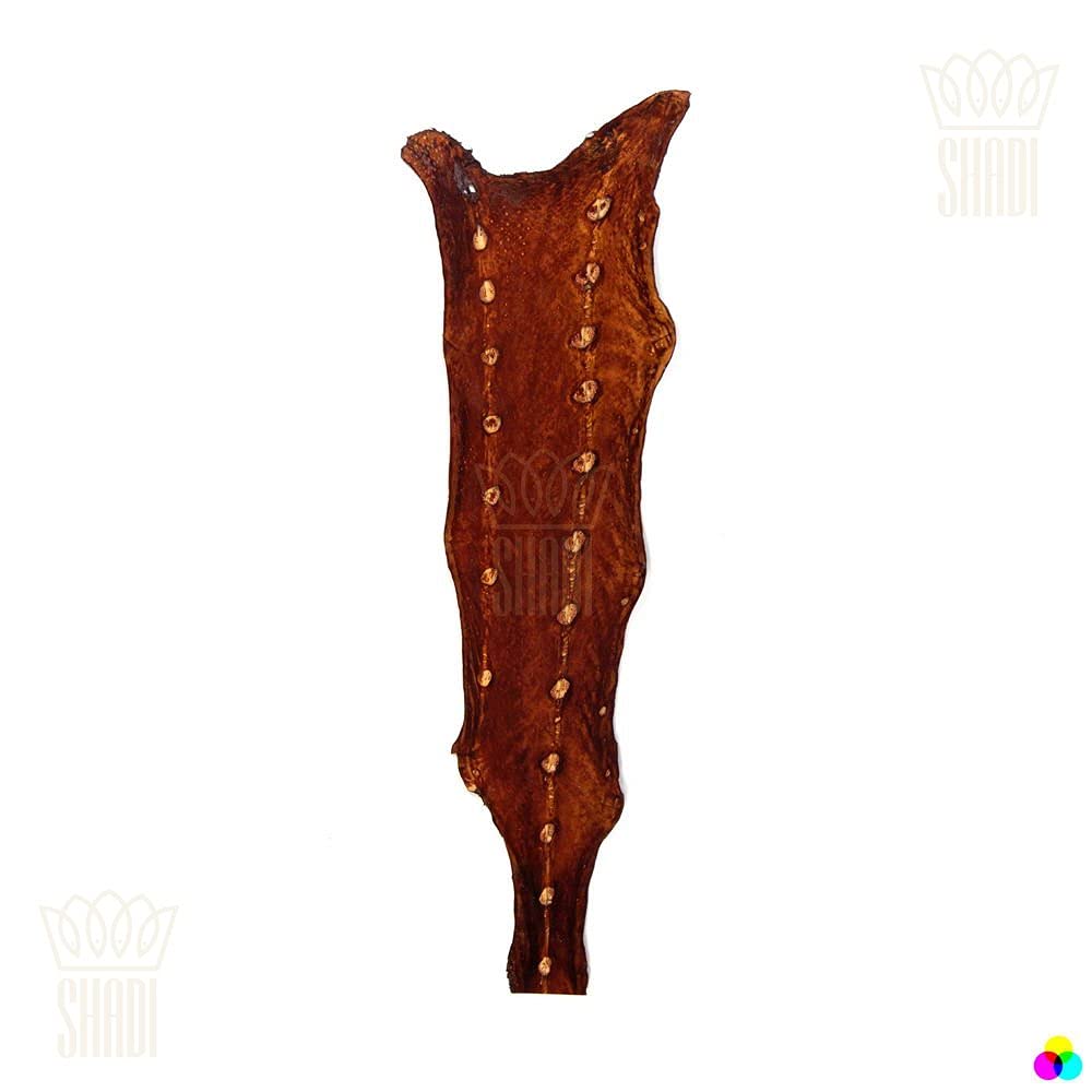 Cuoio esotico Storione Cuoio Pesce Cuoio Medio Durezza Genuina Leath Utensili Cuoio Artigianale Cuoio Cuoio Cuoio per Crafting