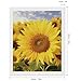 5D Diamond Painting Kits for Adult, Sunflowers Diamond Art Kits for Beginners Fun DIY Crafts Round Diamond Art Canvas Home Wall Decor 16