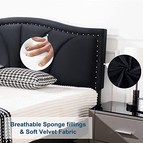 AsKmore-King-Size-Bed-Frame-Velvet-Upholstered-Platform-Bed-with-Decorative-Line-Nailhead-Trim-Headboard-with-Wood-Slat-SupportNo-Box-Spring-NeededEasy-Assembly-Black