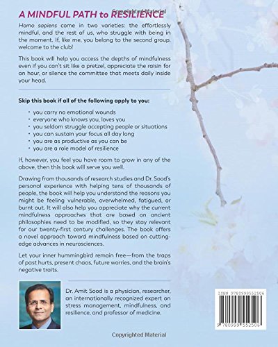 Mindfulness Redesigned for the Twenty-First Century: Let's Not Cage the Hummingbird A Mindful Path to Resilience