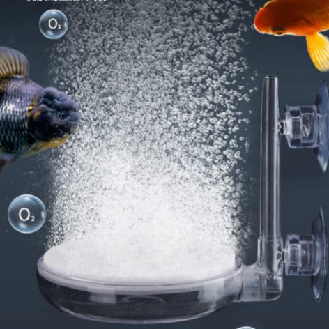 Aquarium luchtsteen, aquariumdecoratie, 64 mm nano-luchtsteen, ultrastil, verbetert de zuurstofvoorziening voor vissen, garnalen en hydrocultuur planten (luchtpomp en slang niet inbegrepen