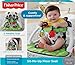 Fisher-Price Portable Baby Chair Sit-Me-Up Floor Seat with Developmental Toys and Crinkle & Squeaker Seat Pad, Panda Paws