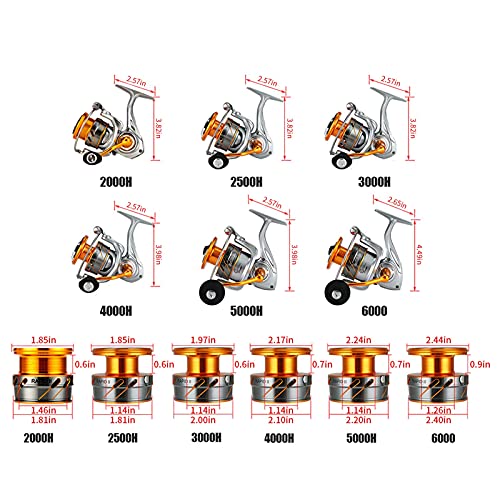 Seaknight RAPIDII Spinnrolle Salzwasser 6.2:1 4.7:1 Angelrolle Karpfen Anti Korrosions Angelrollen Meer 2000H 2500H… – Bild 6
