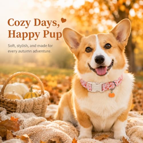 Image of ARING PET Fall Dog Collar for Puppy Small Medium Large Dog-Pink Pumpkin XL | Cute Autumn Basic Doggy Collars with Charm for XS S M L XL Boy Girl Dogs, Soft Comfy Sturdy, Harvest Pumpkin Patch Visits
