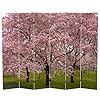 Red Lantern 6 ft Tall Double Sided Cherry Blossoms Canvas 6 Panel Room Divider White