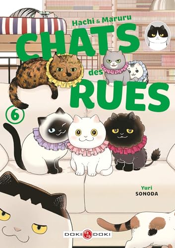 Hachi & Maruru - Chats des rues — Tome 6