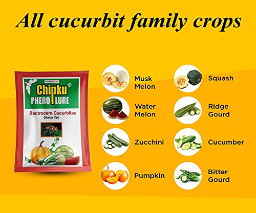 Image of Chipku ECO Trap /IPM Trap /Glass Trap /Melon Fly Trap- Useful for Melon cucurbitae Bottle Guard All Vegetable -100 Pieces