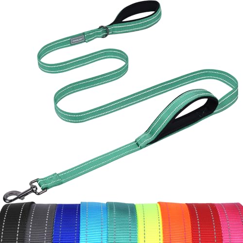 VIVAGLORY Twingrip Dog Leash, Double Handle Dog Leash for Training & Walking with Traffic Handle & 2 Loop, Traffic Control Reflective Heavy Duty for Puppy Pet, 6ft x 1in, Turquoise