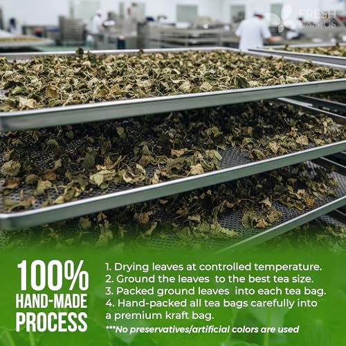 Image of FreshDrinkUS, Premium Gotu Kola Leaves (Centella asiatica) | 8 oz Dried Loose Leaf | Naturally Mild & Earthy Herbal Tea - Premium Quality Leaves. Sugar-Free. Caffeine-Free. Vegan