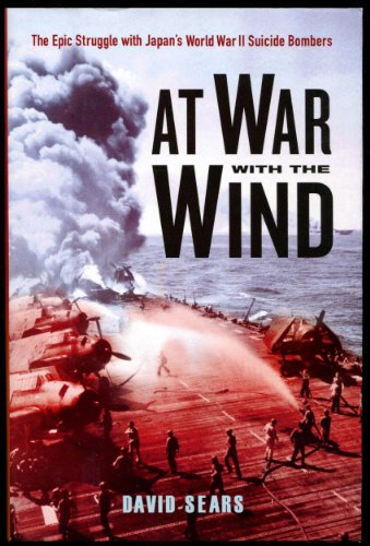 At War With The Wind view 2