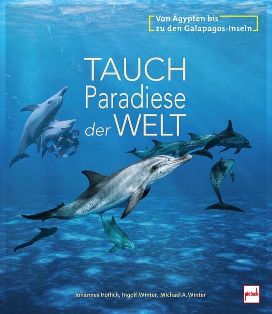 Tauchparadiese der Welt: Von Ägypten bis zu den Galapagos-Inseln