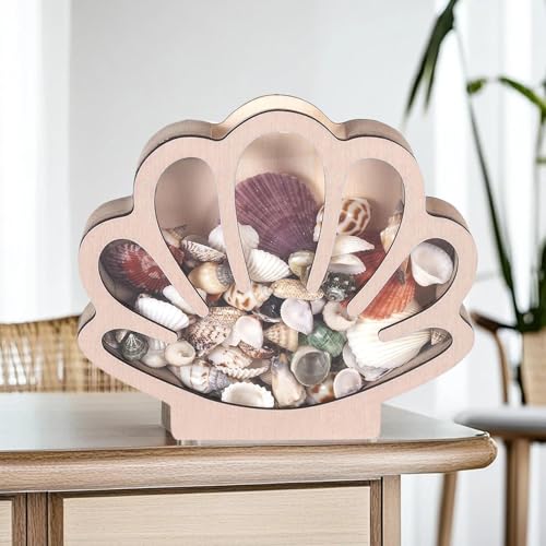 Étagère décorative pour bagues et boîte de présentation coquillages - 8