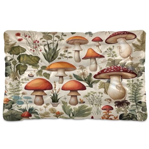 Fuauuyl Alfombrilla suave para cama de perro con diseño de hongos, lavable a máquina, con parte inferior antideslizante para dormir de perro, 61 x 45 cm