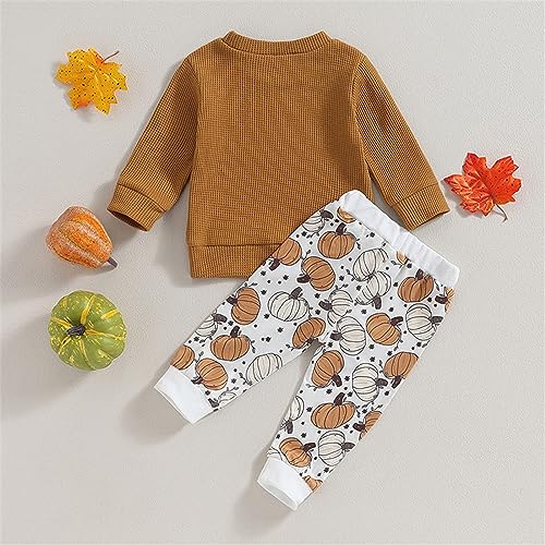 Toddler Baby Boy Girl Halloween Outfit Crewneck Sweatshirt Tops Pants Set Long Sleeve Sweatsuit Fall Winter Outfits3