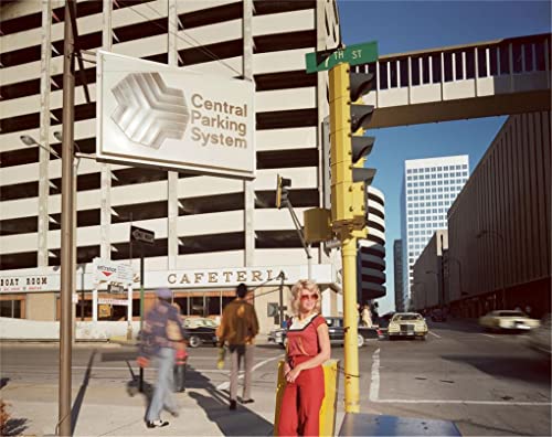The Pleasure of Seeing: Conversations with Joel Meyerowitz on Sixty Years in the Life of Photography