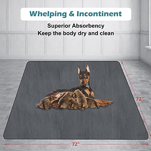 image for INVENHO Washable Pee Pads for Dogs 72