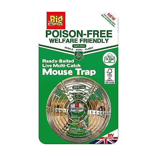 Image of The Big Cheese Poison-Free, Live Catch, Ready-Baited Dome Multi-Catch Mouse Trap