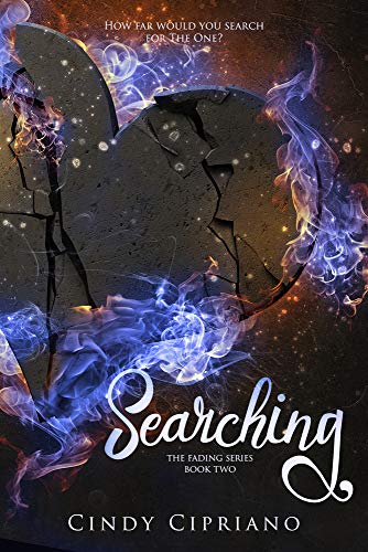 Searching view 2