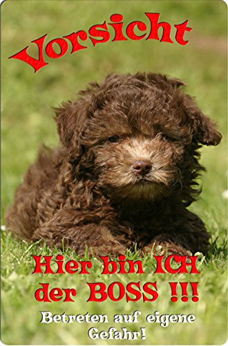 Nanyuk +++ BOLONKA ZWETNA - Metall Warnschild Schild Hundeschild Sign - BOZ 01 T7