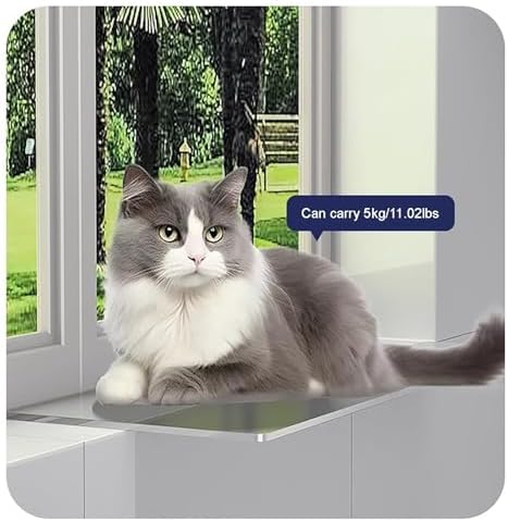 Clear Acrylic Window Sill Extender, 60x15cm Plant Shelf & Cat Perch, 4.5mm Thick Window Shelf with Double-Sided Adhesive for Indoor Plants & Pets