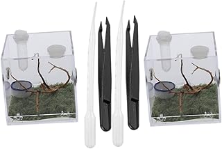 iplusmile 2 Conjuntos De Aranha Terrário Caixa De Aranha Saltadora Reptivite Recipiente Transparente Design Transparente Caixa De Aranha Suprimentos Para Répteis Caixa De Caixa De