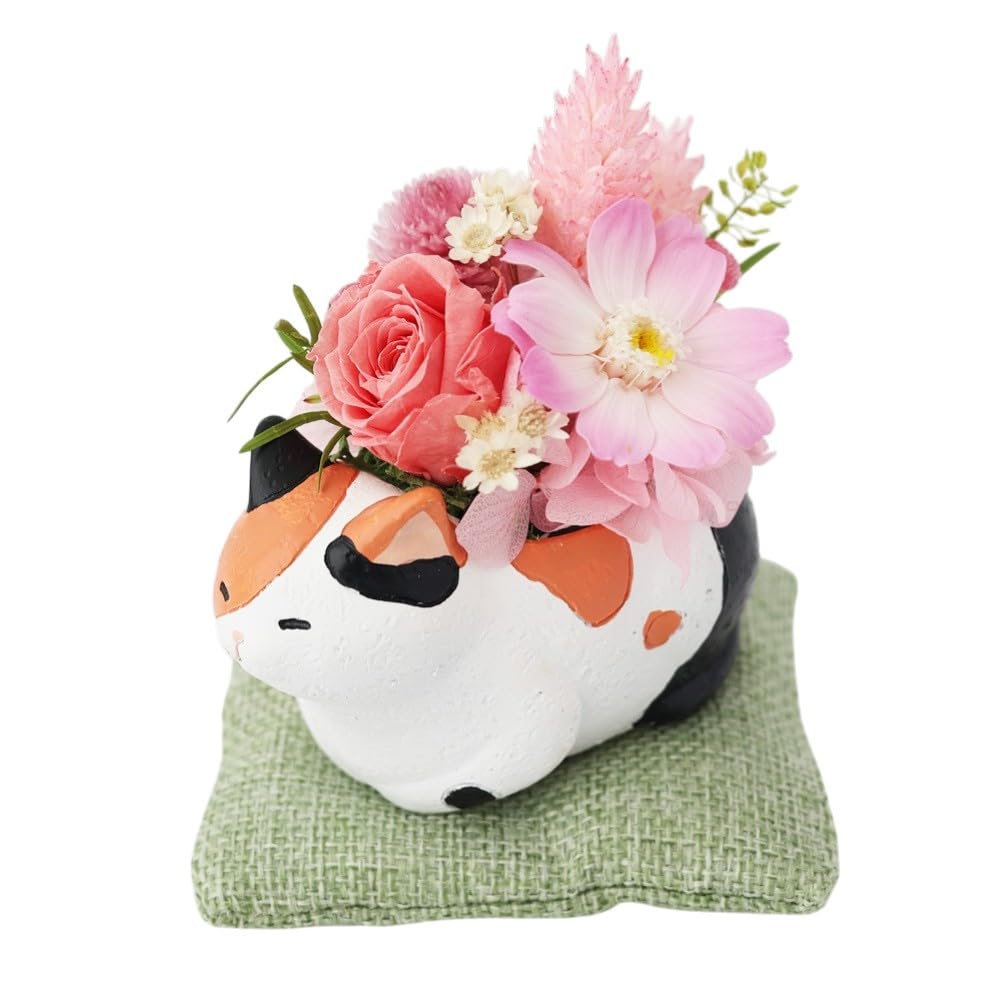 Amazon｜花由 プリザーブドフラワー 和風 くつろぎねこ (三毛猫
