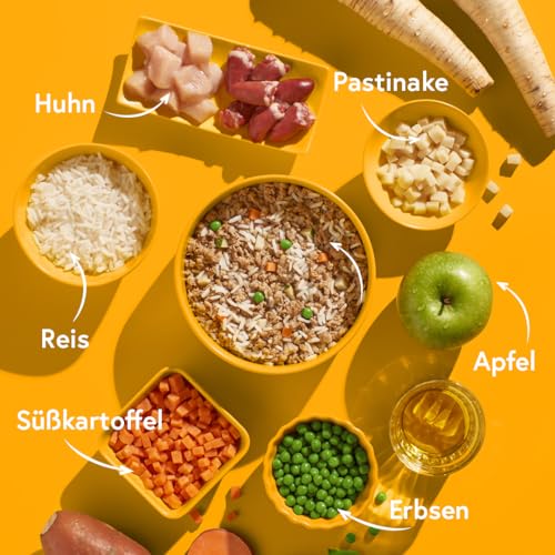 FRED Nassfutter Hund Huhn mit Reis – Monoprotein – 50 % Huhn in Lebensmittelqualität – Getreidefrei – mit Gemüse & Ölen – Alleinfuttermittel für ausgewachsene Hunde – 190 g Tetra Pak