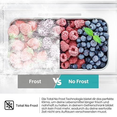 Hisense FF3N229NEIC Gefrierschrank/Freistehend/EEK: C /36dB/Niedriger Geräuschpegel/240 Liter/Total No Frost/Super Freeze/Multi Air Flow/Türanschlag wechselbar/HxBxT:172x59,5x60 cm/Edelstahl Look