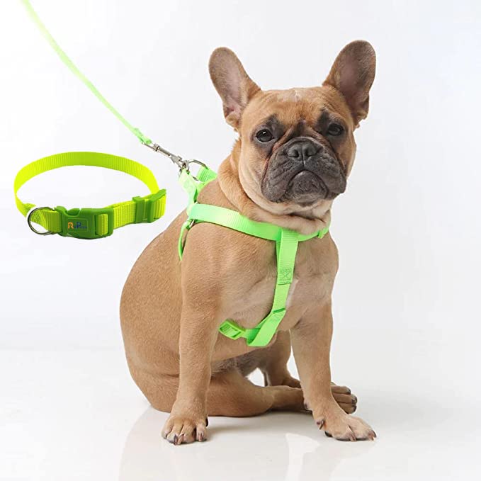 RvPaws Combo of Collar and Nylon Adjustable Leash with Harness Set 0.5 Inch Puppy Harness for Small & Medium Dogs - 15 MM (Parrot Green Color) (B0BNLGKF4T) Amazon Price History, Amazon Price Tracker