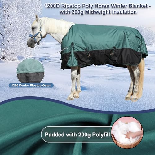 1200D Horse Blanket, 200g Medium Weight Waterproof Winter Turnout | 1200D Ripstop Outer, Waterproof Breathable Shell, Anti-Rub Lining, 200g Insulation, Keep Dry in Snow & Cold, Large Tail Flap - Image 4