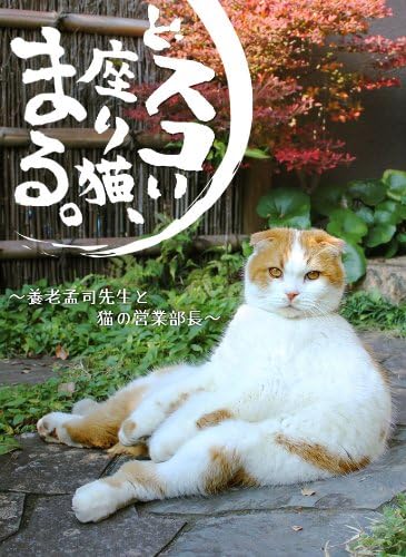 Amazon Co Jp どスコい座り猫 まる 養老孟司先生と猫の営業部長 Dvd Dvd ブルーレイ まる 養老孟司 室井滋 Amazon Co Jp どスコい座り猫 まる 養老孟司先生と猫の営業部長 Dvd Dvd ブルーレイ まる 養老孟司 室井滋