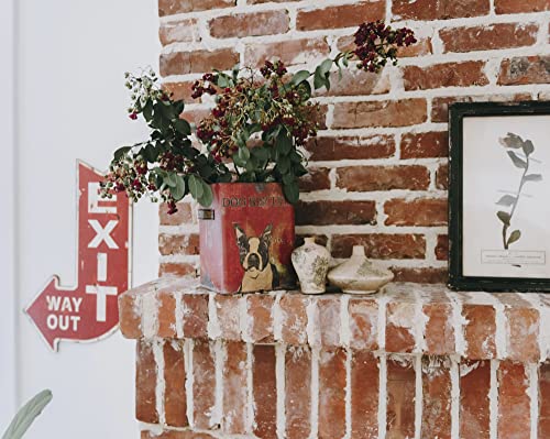 Creative Co-Op Vintage Metal Container With Dog Illustration And Lid, Multicolor #TOP1