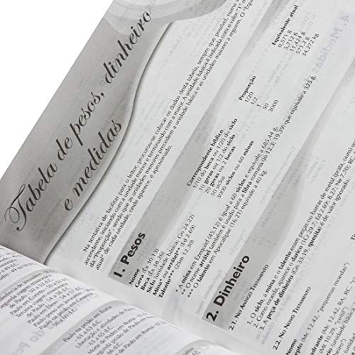 Bíblia de Estudo de Genebra - Couro bonded Azul: Almeida Revista e Atualizada (ARA)