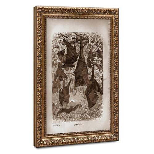 Impression sur toile de chiroptera haut de gamme, tenture murale d'histoire naturelle