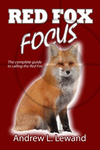 Red Fox Focus