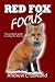Red Fox Focus