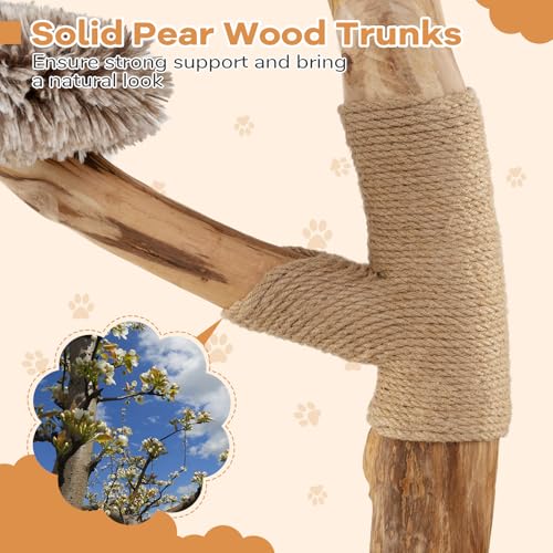 Árbol para Gatos de Madera de Pera 35.5 pulgadas miniatura 6