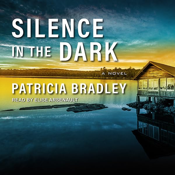 Cover art for Silence in the Dark