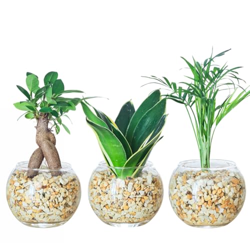  ϗtA 3_Zbg nChJ`[ { ~j ~j ygȂ  p Ă₷ϗtA KW} TXxA e[uV