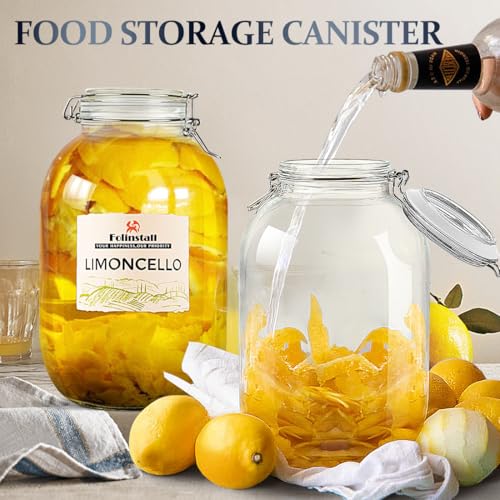 Folinstall Gallon Glass Jar with Airtight Lid - Large Mason Jar for Pickling & Storage