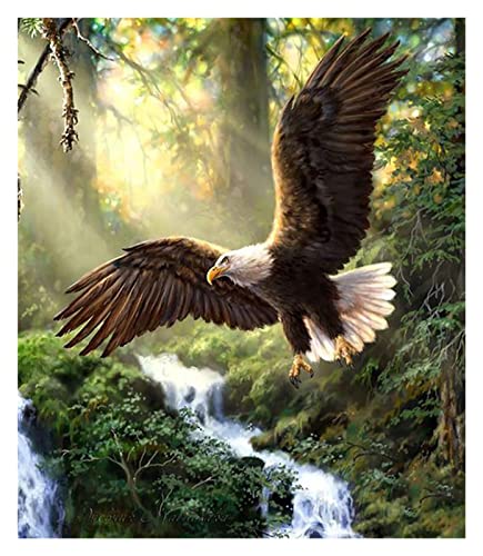 5D Gegoten Lijm Bird Peacock Dragonfly Animal Diamond Painting Kits Volle Ronde Boor Home Decor Mozaïek Borduurwerk… - Afbeelding 8