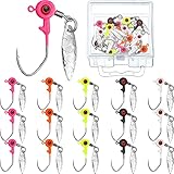 Skylety 15 Pcs Fishing Jig Heads Kit Fishing Lures Crappie Jig Road Heads Hook with Plastic Box for Freshwater Runner Bass(Mix Color,1/16 oz)