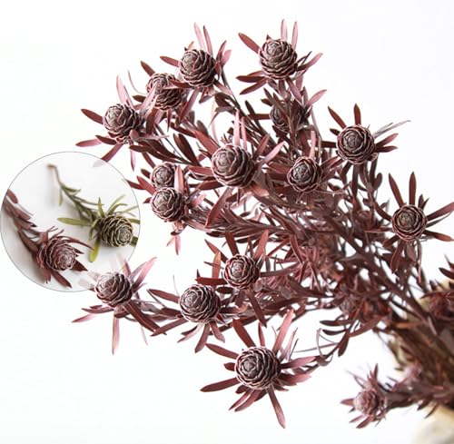Flores Secas Mini Piña con Tallo 23" para Decoración miniatura 4