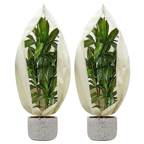 Kiaitre Winterschutz für Pflanzen, 200 x 240cm 80g/㎡ Frostschutz Kübelpflanzensack, Pflanzenschutz Winter mit Reißverschluss & Kordelzug, Reißfest Vlies Schutzhülle für Topfpflanzen (1 Stück)